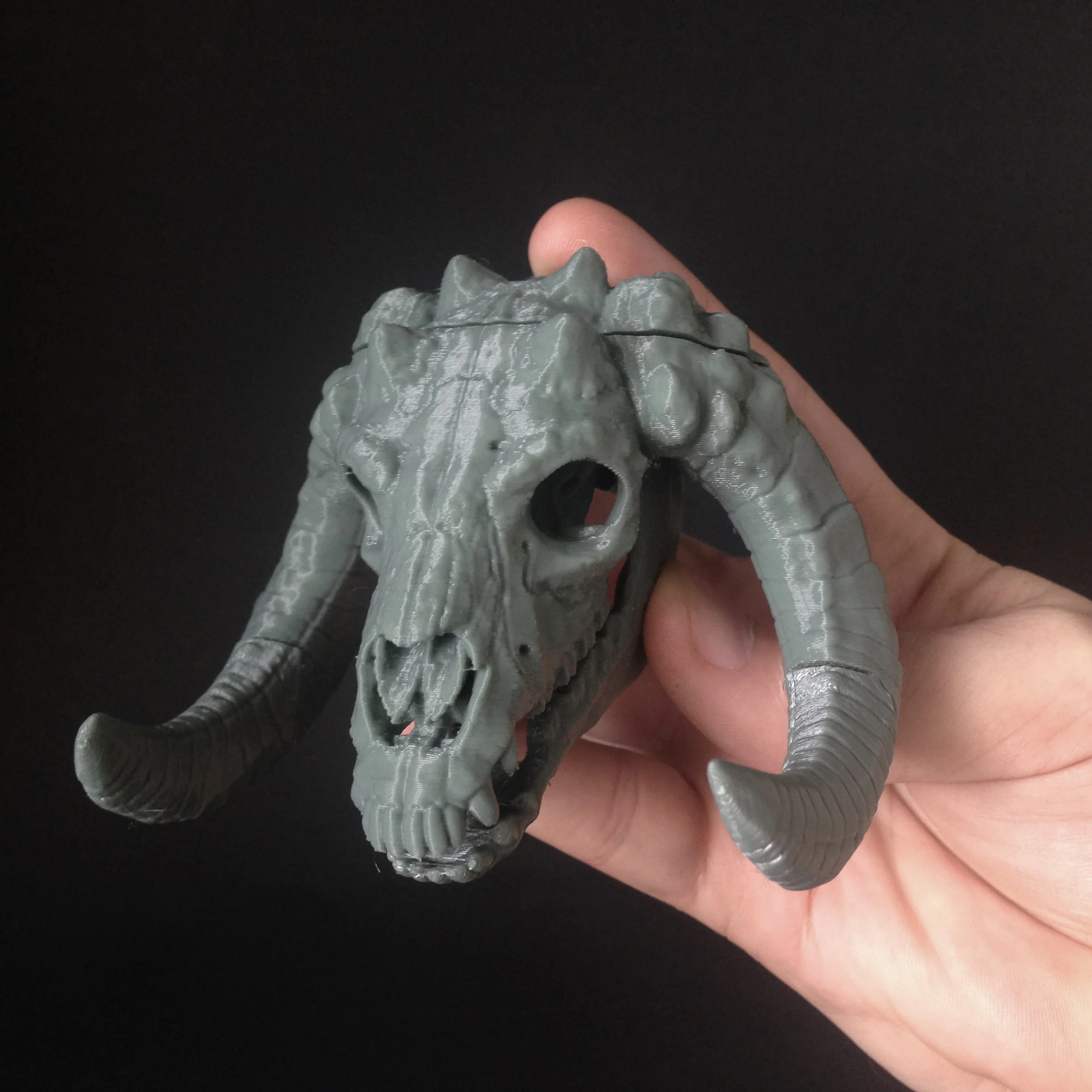 004 Cozy Skull - Image 3