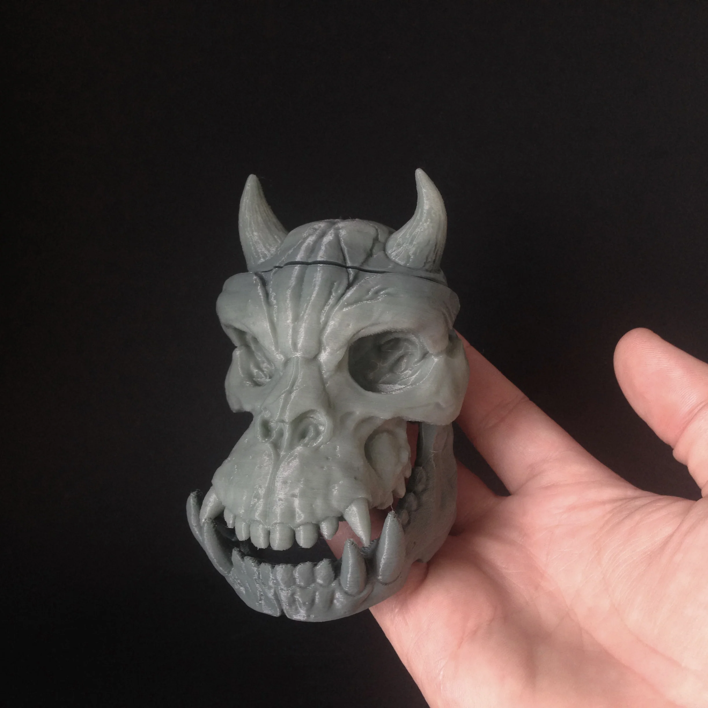 007 Pig Skull - Image 3