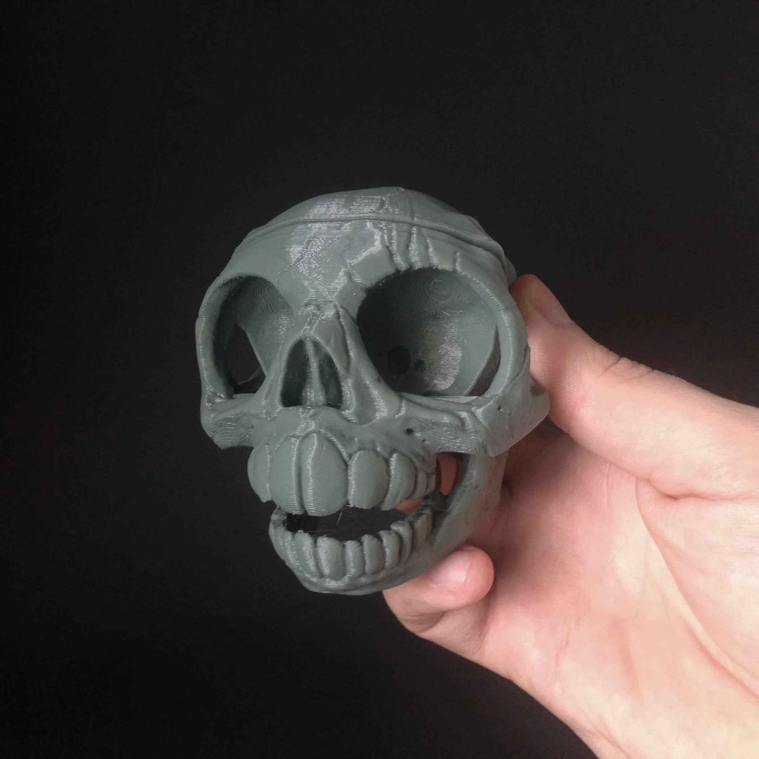 011 Bear Skull - Image 3