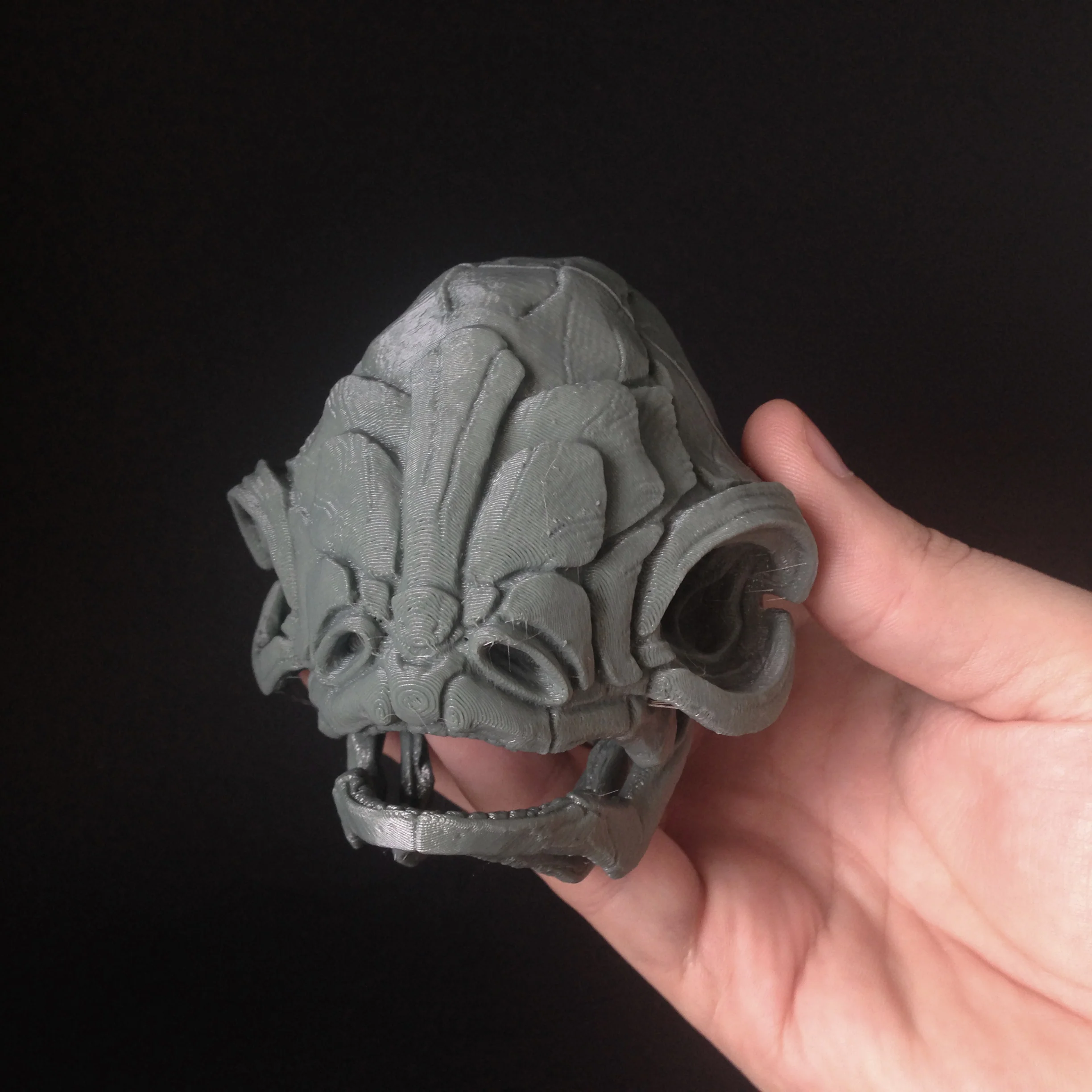 012 Guppy Skull - Image 3